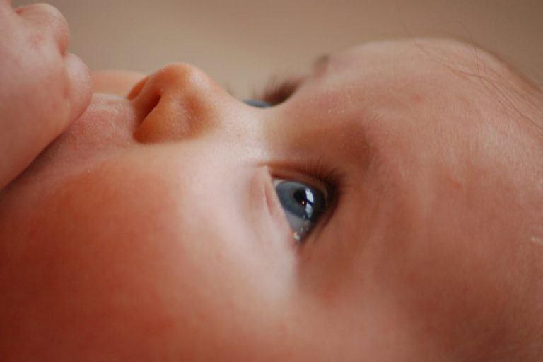 Prenatalni PREMIUM Test: T 21, 18, 13+ sex chromosoms+ mikrodelecije + pol analiza, IntroLab laboratorija Beograd