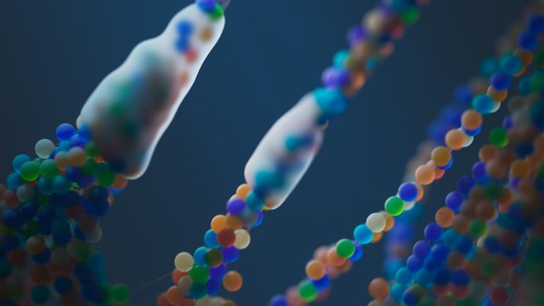 Prenatalni PREMIUM Test: T 21, 18, 13+ sex chromosoms+ mikrodelecije + pol analiza, IntroLab laboratorija Beograd