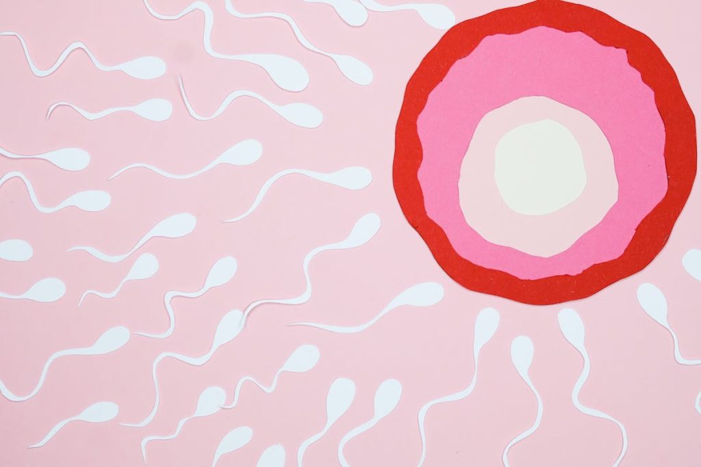 crtez spermatozoida